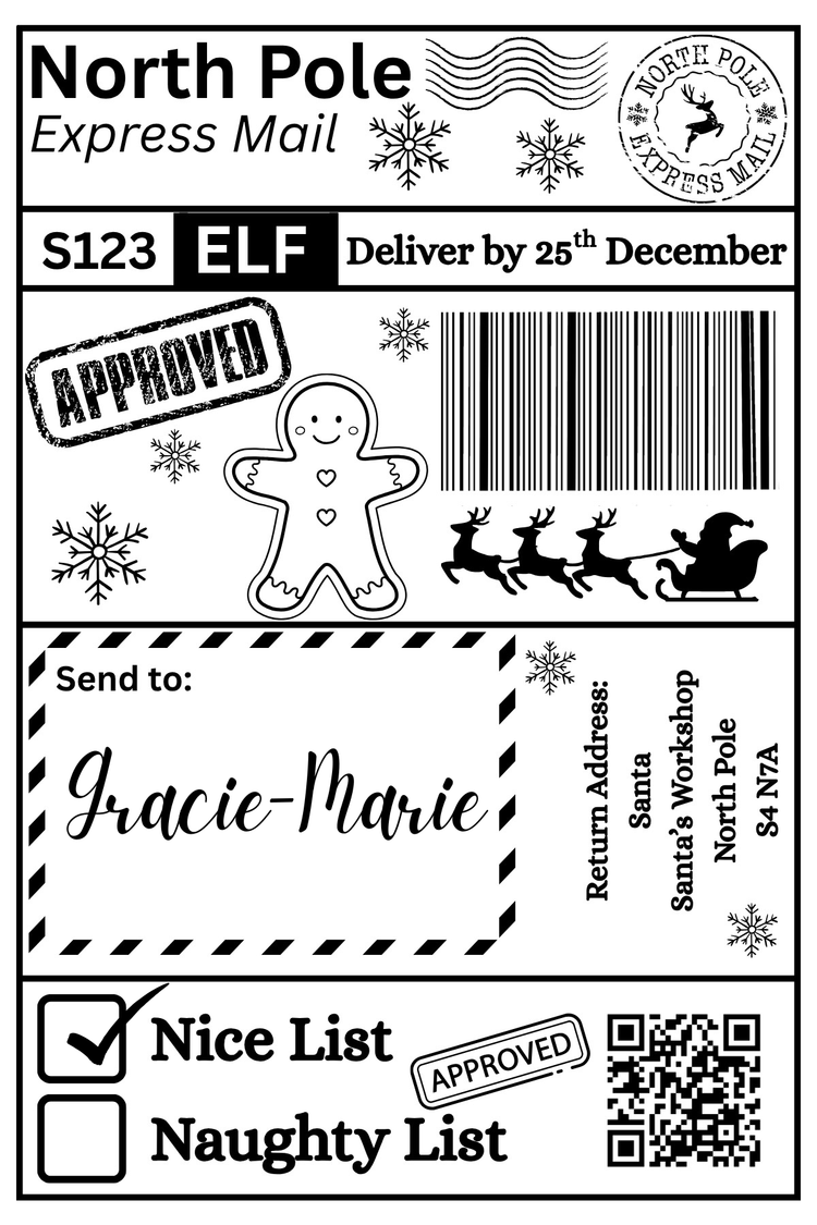 Christmas Santa Mail Shipping Label