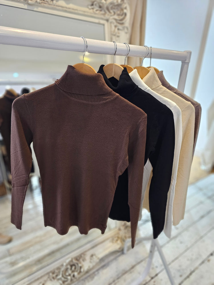 Phoebe roll neck long sleeve top in chocolate