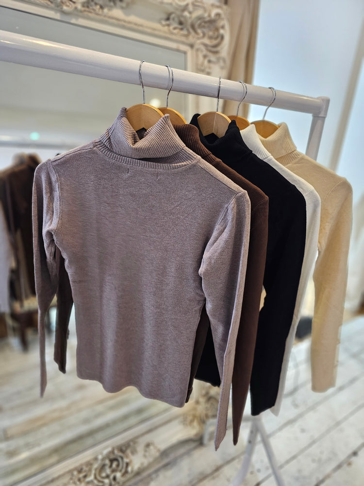 Phoebe roll neck long sleeve top in mocha