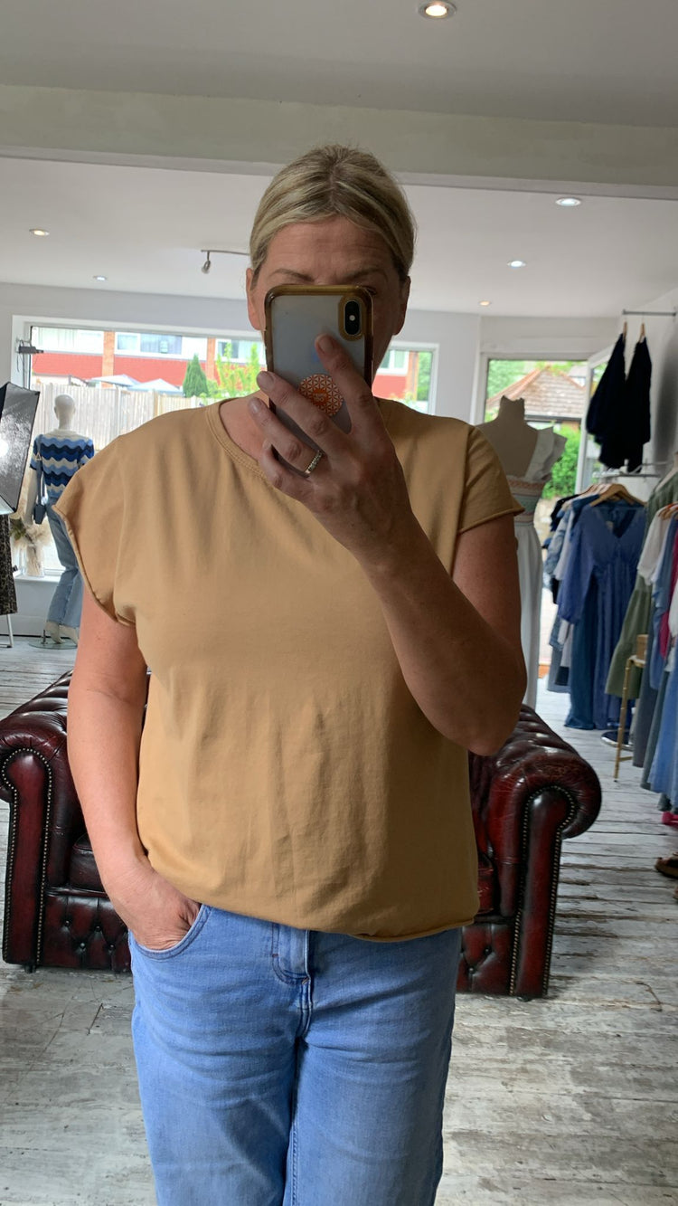 Faith Cap Sleeve Top in Camel