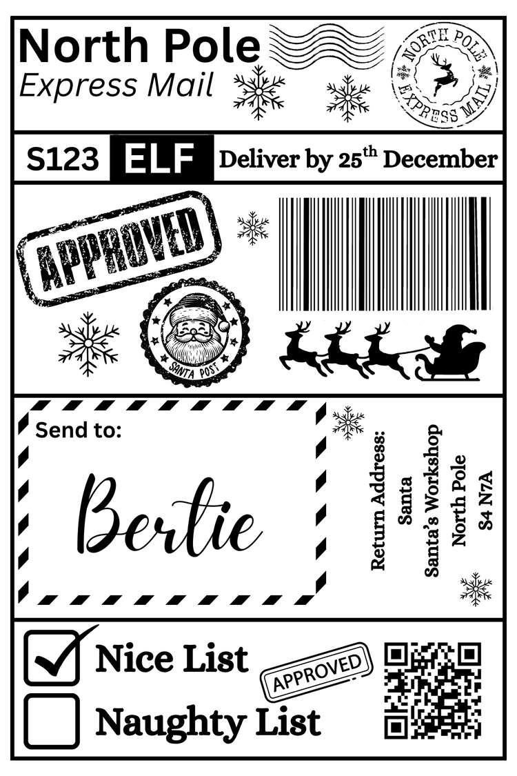Christmas Santa Mail Shipping Label