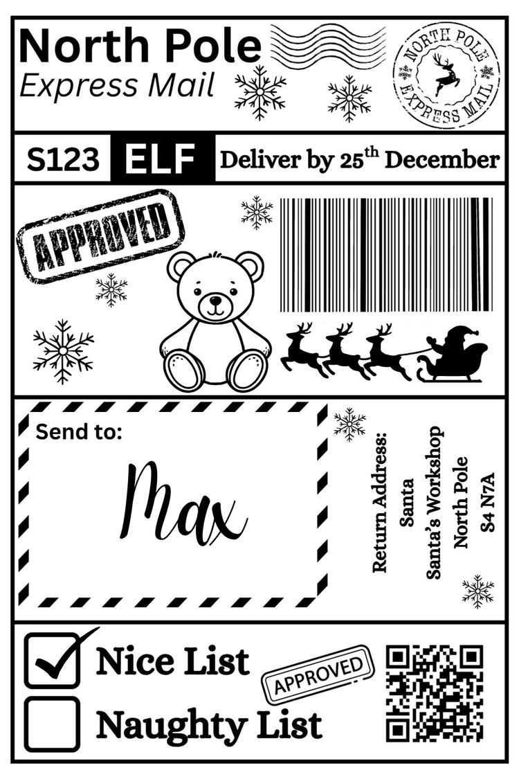 Christmas Santa Mail Shipping Label