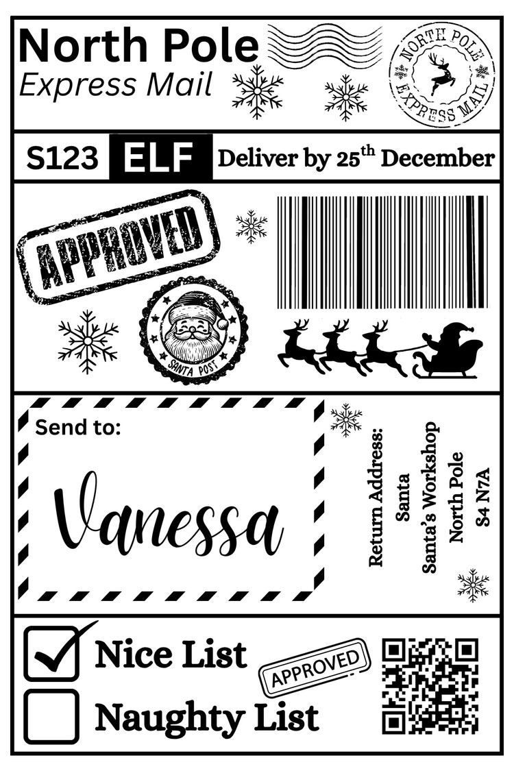 Christmas Santa Mail Shipping Label