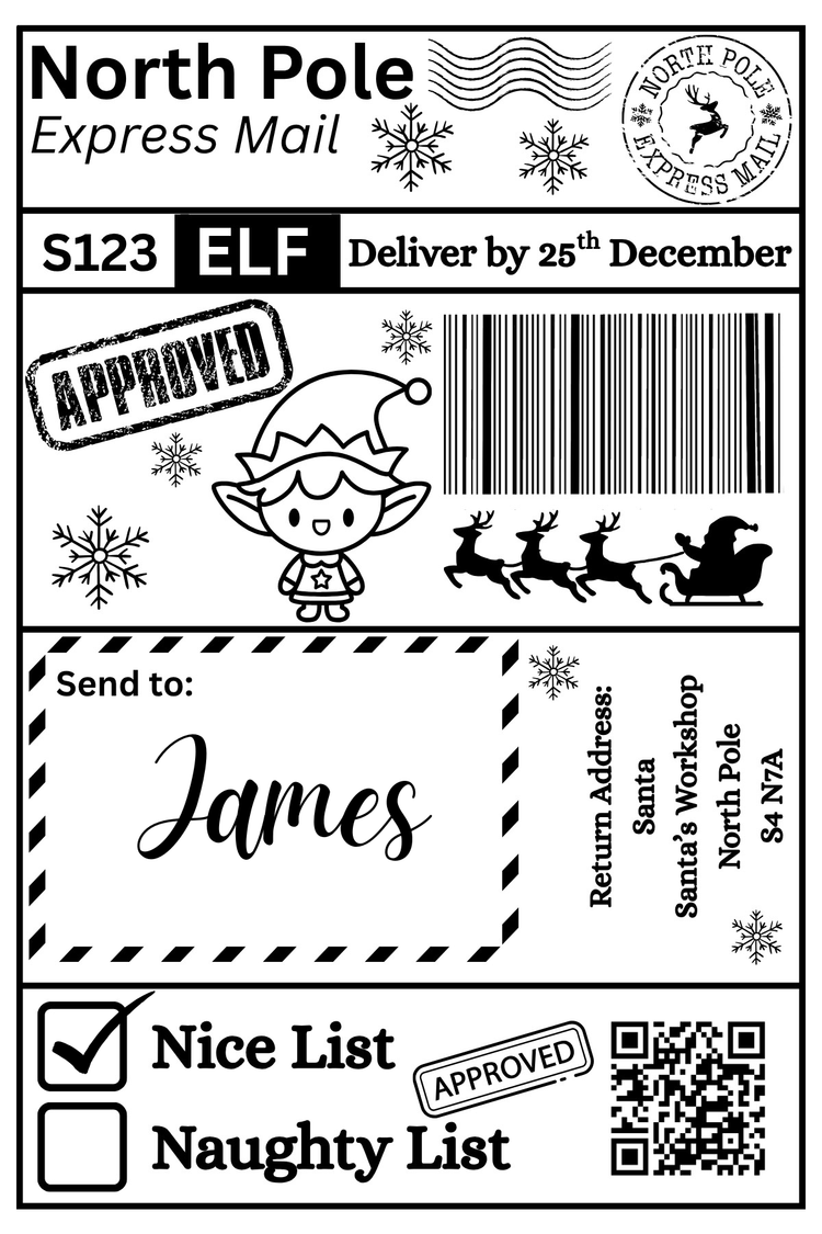 Christmas Santa Mail Shipping Label