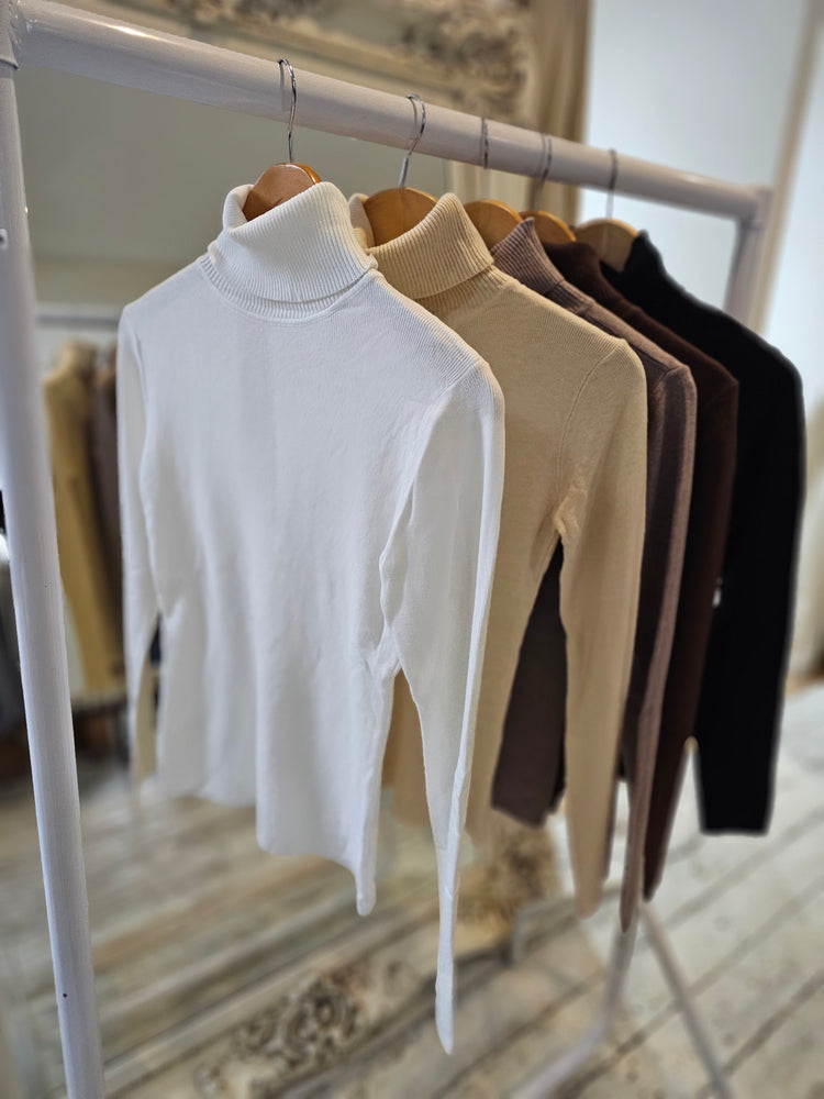 Phoebe roll neck long sleeve top in cream